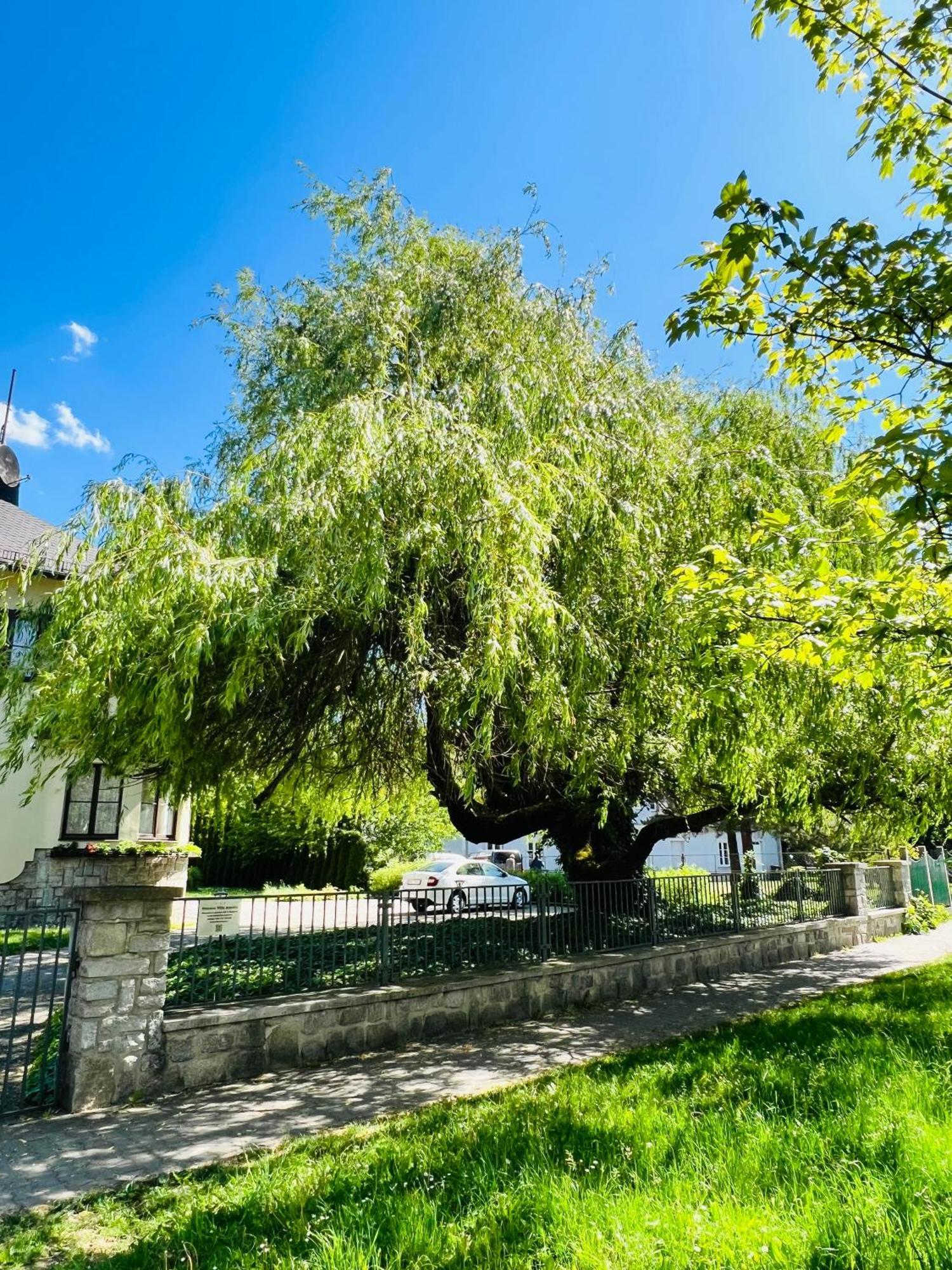 Penzion Villa Ancora Sumperk Exterior photo